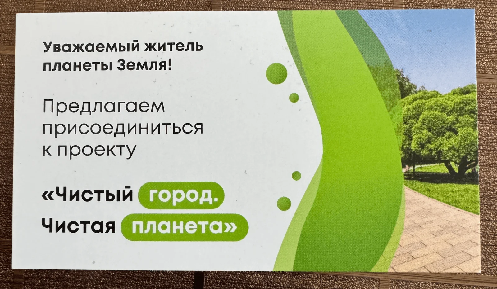Источник загрязнения превратить в источник чистоты. Проект «Чистый город. Чистая планета». Пандемия чистоты.
