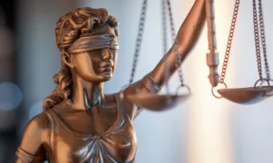 В правосудии будут применяться международные нормы