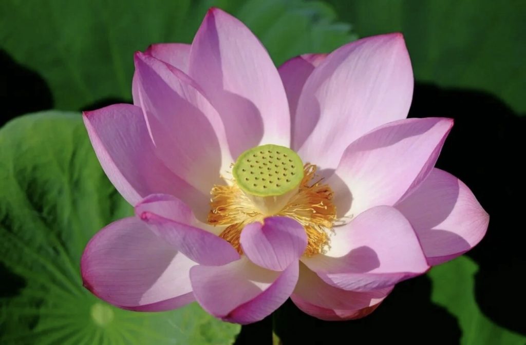 Духовность через 200 лет