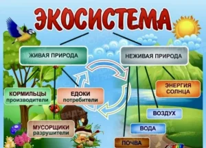 Управление экосистемами