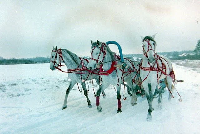 Россия как лидер будущего: от воина до учителя в глобальном мире