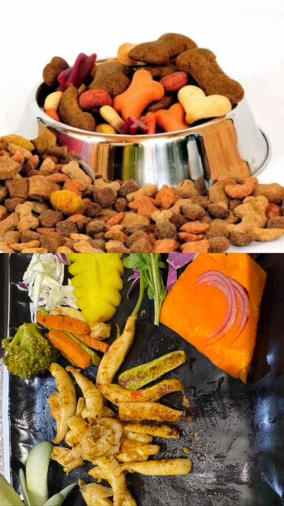 Питание через 500 лет