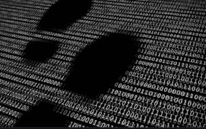 В 2030 году человечество вернет контроль над цифровым следом